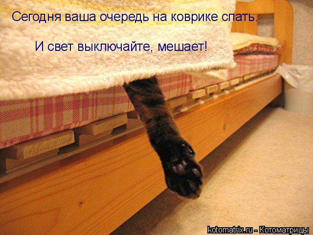 4743317_45T (640x480, 57Kb)