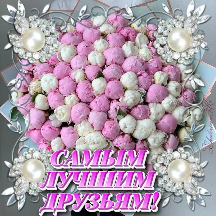 201-belo-rozovyy-tyulpan-v-korobke_1-1000x1000.jpg (700x700, 95Kb)