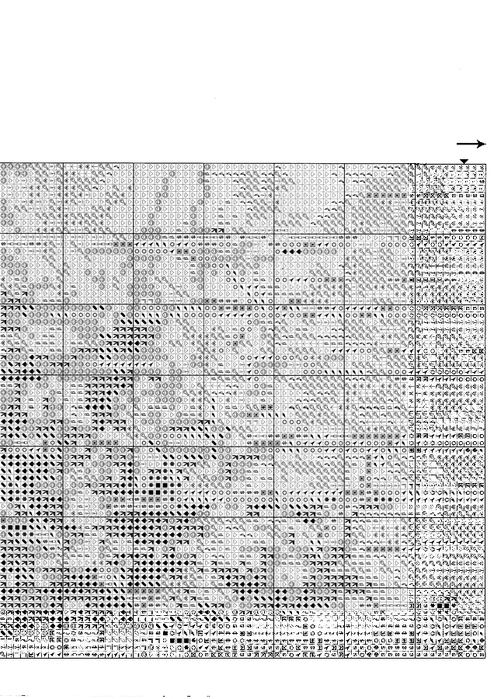 59FCE4DE-5DA5-44E1-BDA2-AFD4CE0EE39A (494x700, 237Kb)
