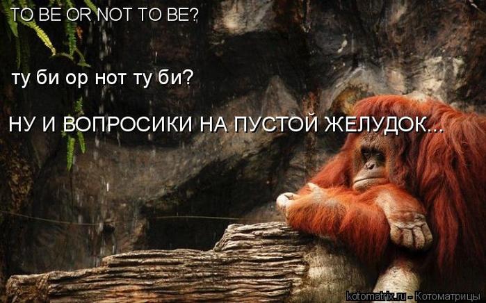 4743317_l4 (700x436, 62Kb)