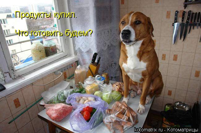 4743317_TP (650x433, 54Kb)