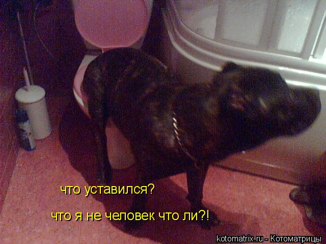 4743317_T (640x480, 55Kb)