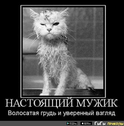 4743317_i_jpgiv (405x411, 32Kb)