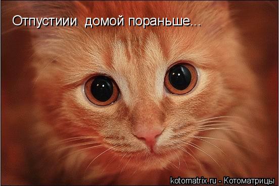 4743317_gK (552x367, 37Kb)