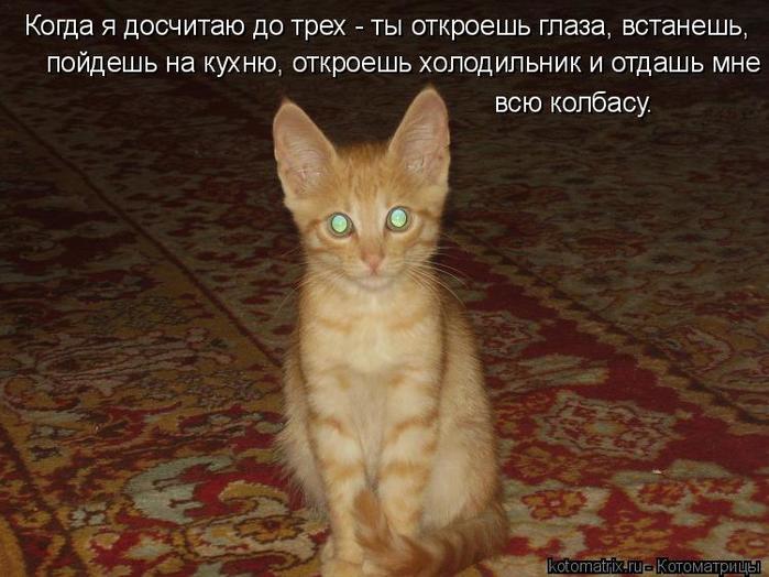 4743317_CU (700x524, 59Kb)
