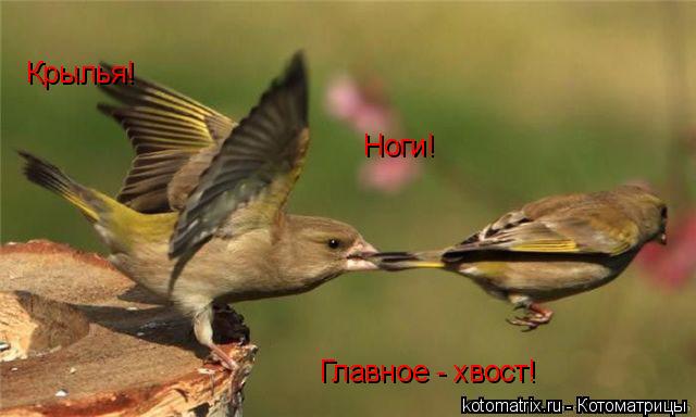 4743317_Th (640x384, 31Kb)
