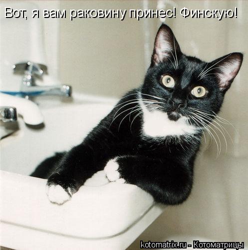4743317_Vv (497x500, 37Kb)