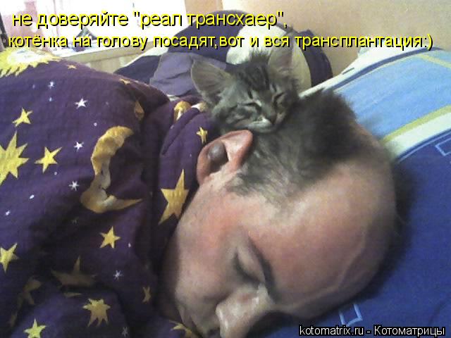 4743317_0t (640x480, 46Kb)