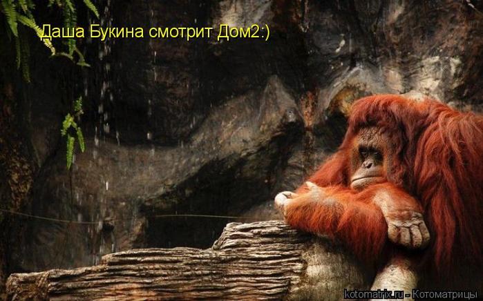 4743317_l4 (700x436, 56Kb)