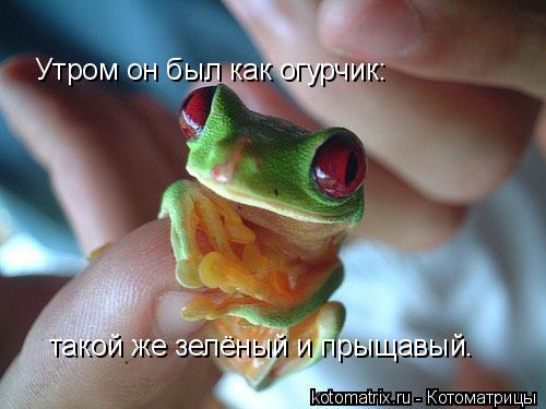 4743317_L (500x375, 30Kb)