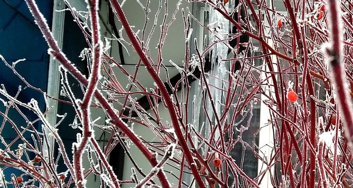 004 (700x372, 170Kb)