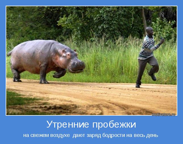 4743317_motivator48115 (644x508, 59Kb)