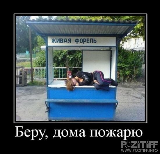 4743317_i_jpgya (550x532, 55Kb)