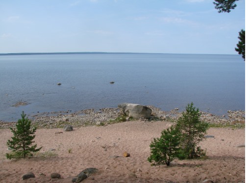 7290692_Kamni_Gatchini_Konevca_2015g_070 (510x375, 48Kb)