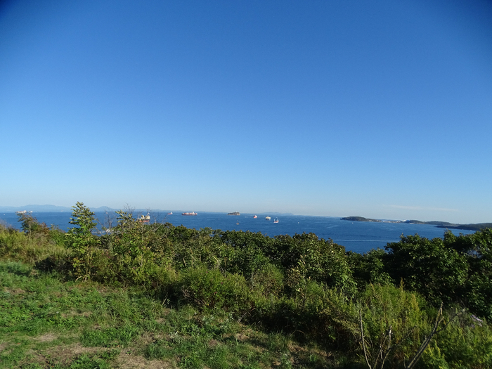 DSC00127 (700x525, 392Kb)