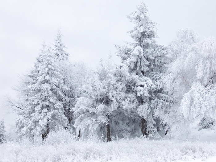 3437583_Snow_Scene_at_Shipka_Pass_1 (700x525, 272Kb)