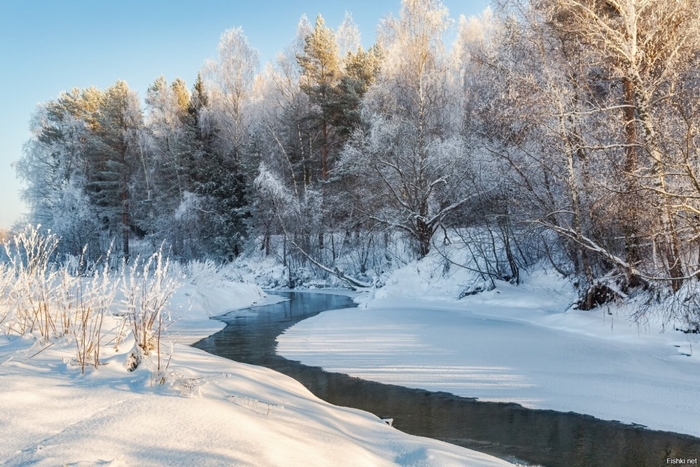 3437583_8a1706527 (700x467, 279Kb)