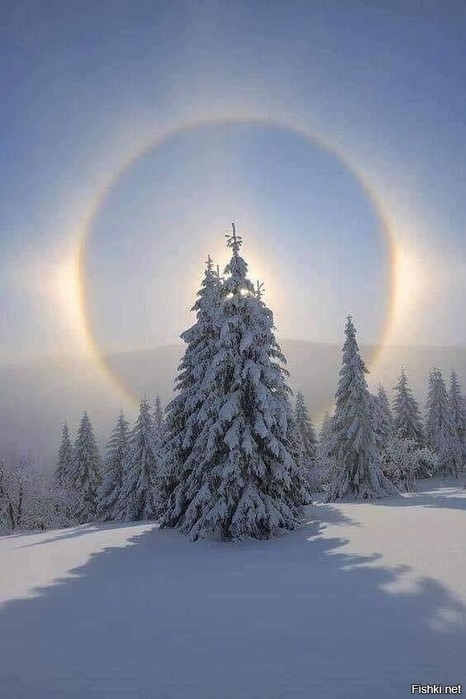 3437583_9a4373f6 (466x700, 59Kb)