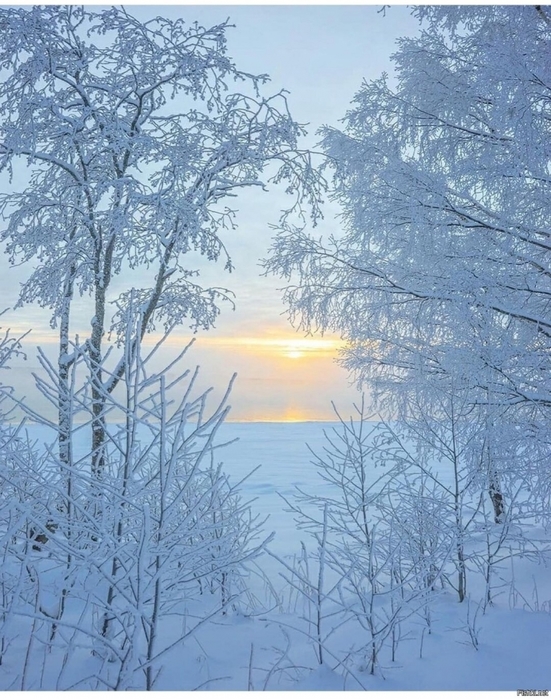 3437583_d3660554 (551x700, 324Kb)