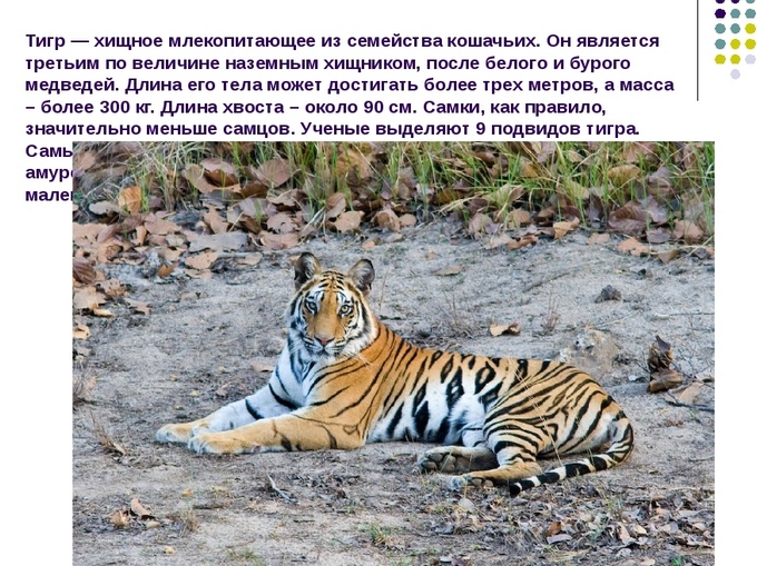 3109898_mi_glavnoe (680x509, 301Kb)
