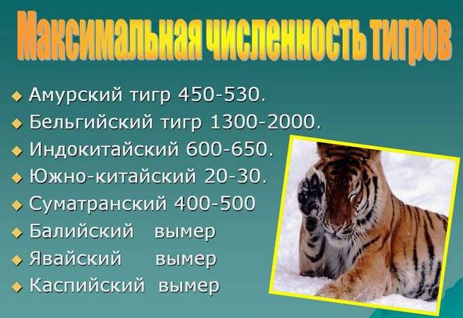 3109898_Slaid_chislenost (655x450, 49Kb)