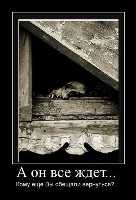 4743317_demotivatori_136 (475x700, 52Kb)