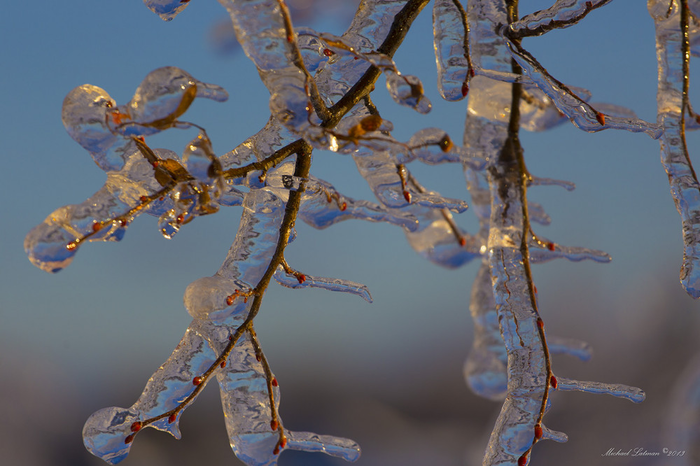 изображение_2022-02-11_214505 (700x466, 413Kb)