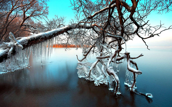изображение_2022-02-11_214519 (700x437, 646Kb)