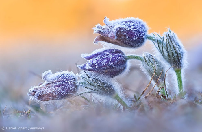 изображение_2022-02-11_214642 (700x456, 406Kb)