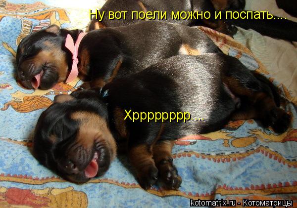 4743317_tM (600x421, 56Kb)