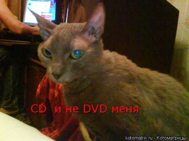 4743317_V (640x480, 42Kb)