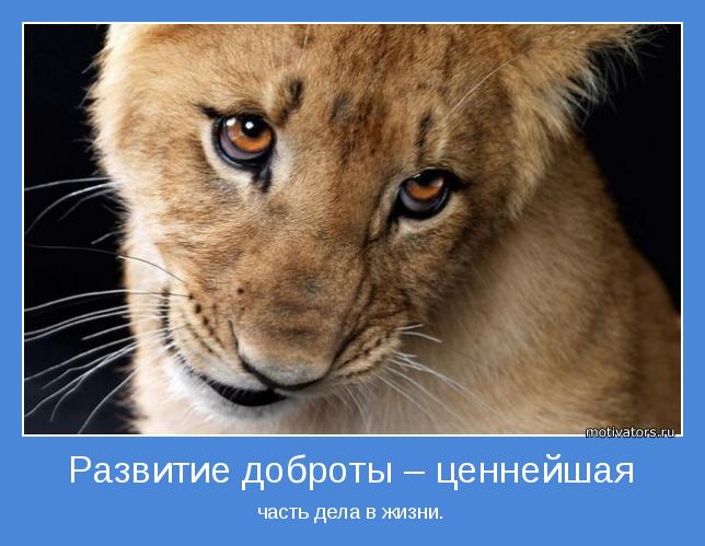 4743317_motivator47663 (644x499, 48Kb)