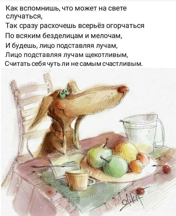 4bd9afb3e66b01a5a260130a05256a0c (564x694, 213Kb)
