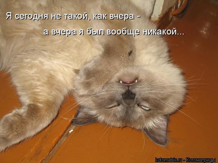 4743317_QS (700x524, 48Kb)