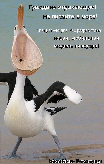 4743317_tH (409x640, 37Kb)