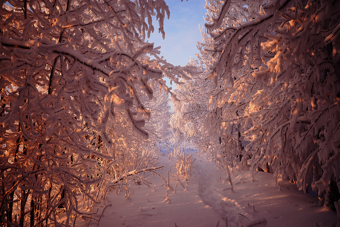 0_b685c_5067e638_XXL (700x467, 543Kb)