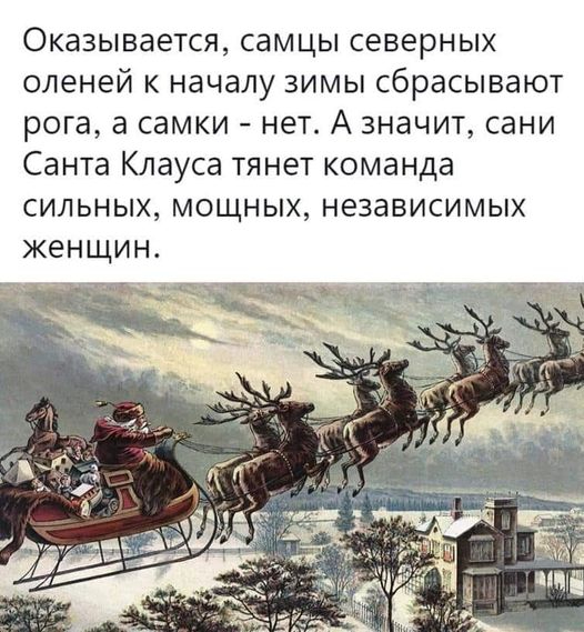 271185031_1804331773091126_3575563531974331426_n (526x569, 206Kb)