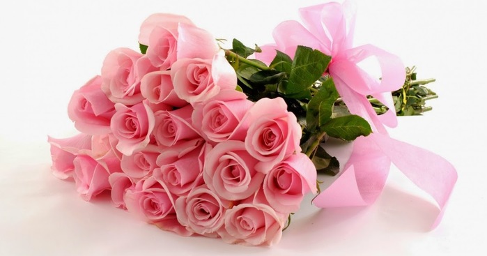 pink_Roses (1) (700x367, 58Kb)