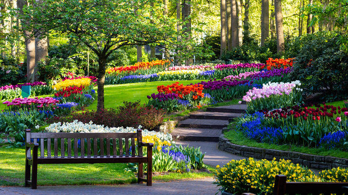 Keukenhof-shutterstock-900-500-890x500 (900x593, 158Kb)