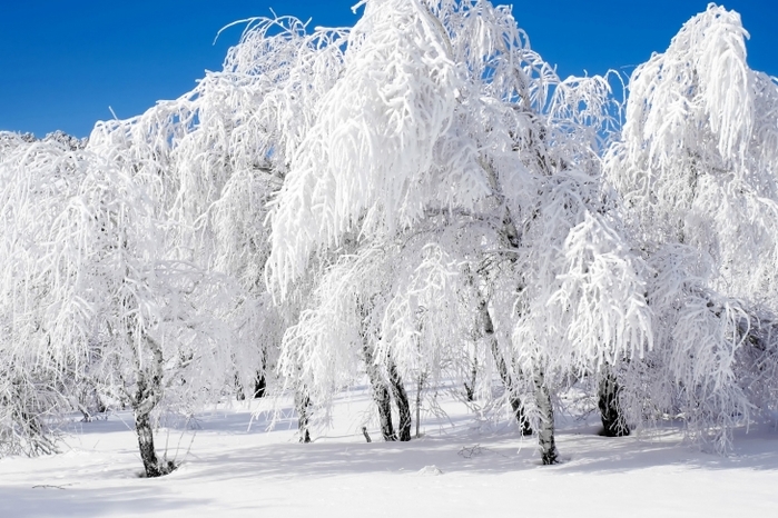 3437583_59db804435929 (700x466, 260Kb)
