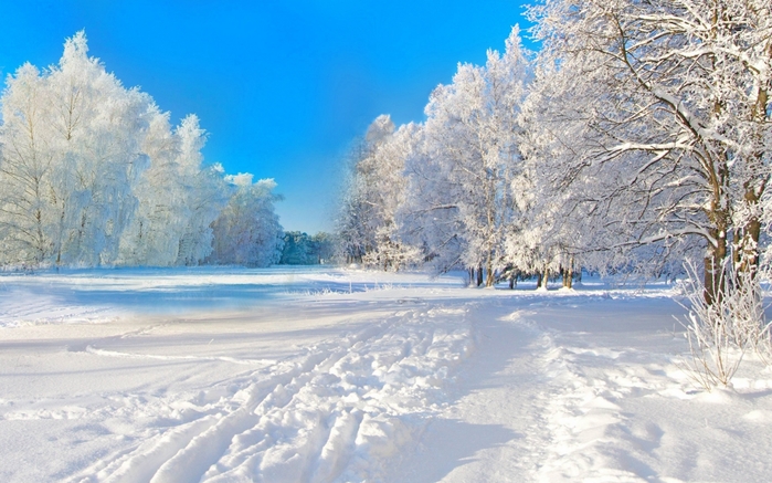 3437583_1617416353 (700x437, 269Kb)