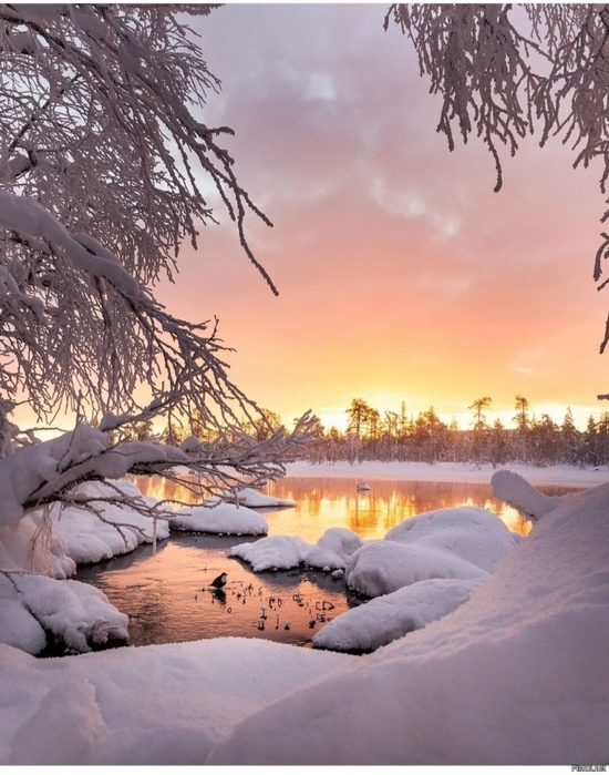 3437583_3f55ede953c (550x700, 279Kb)