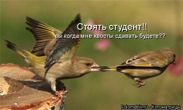 4743317_om (640x384, 34Kb)