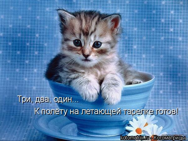 4743317_RJ (600x450, 53Kb)