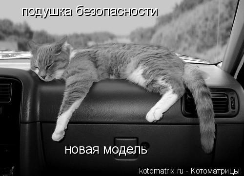 4743317_dO (500x362, 27Kb)