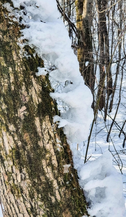 4954089_20220216_111153 (407x700, 288Kb)