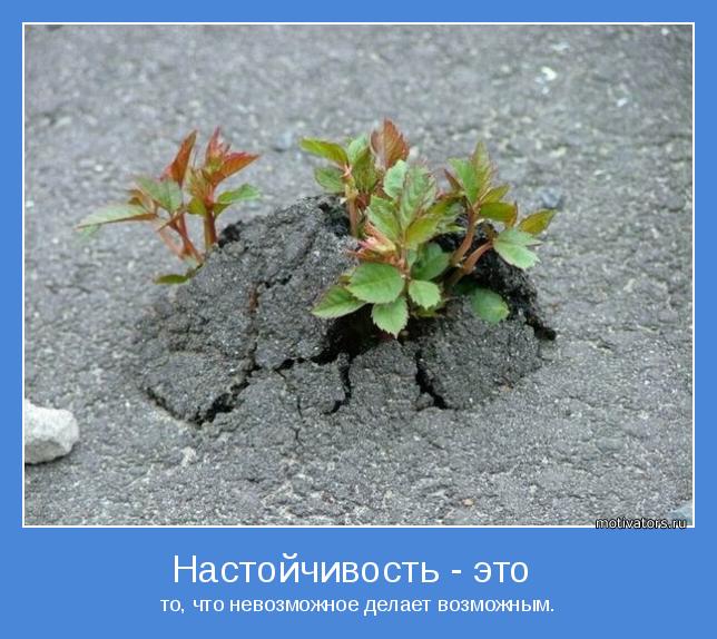 4743317_motivator48213 (644x574, 66Kb)