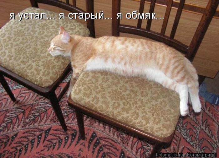 4743317_Lq (700x503, 64Kb)
