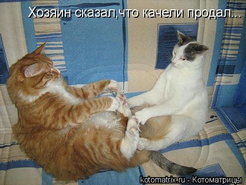 4743317_Eu (500x375, 38Kb)