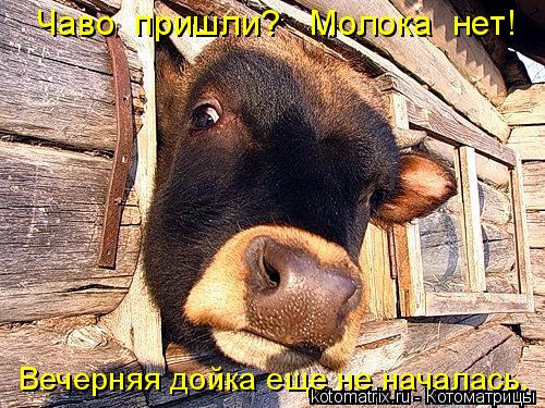 4743317_HH (500x375, 75Kb)
